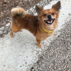 Meet your Posher, Lee